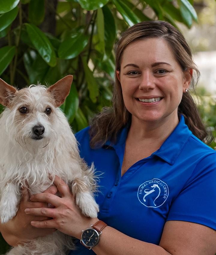 Experienced Veterinarians Animal Hospital in Beaufort
